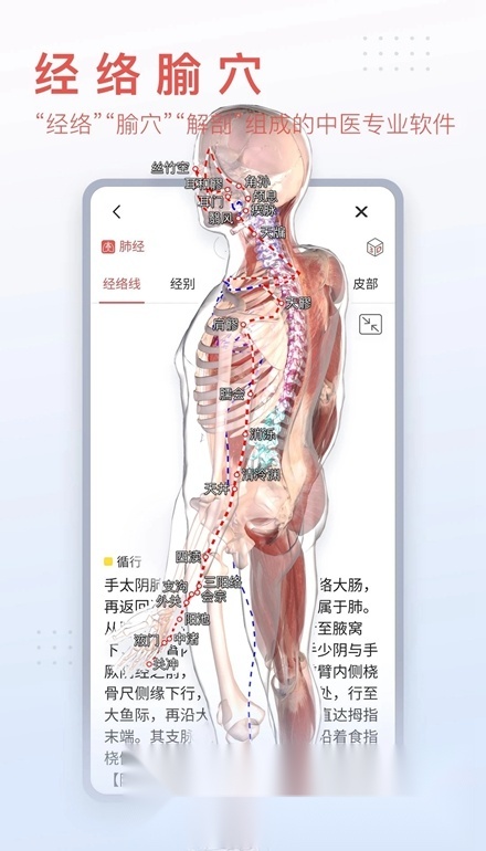 3Dbody解剖图手机版截图4