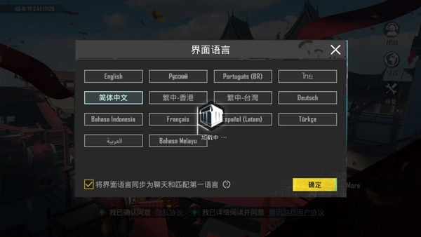 pubg国际服中文版