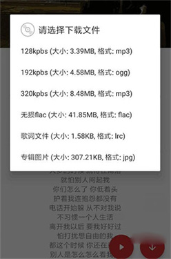 qmd音乐截图2