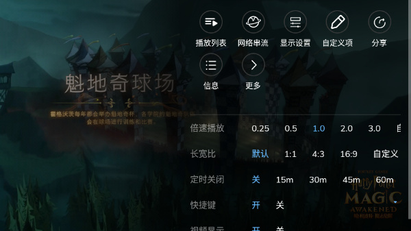 mxplayer pro专业版截图3