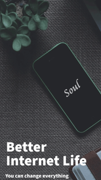 Soul浏览器中文版截图3