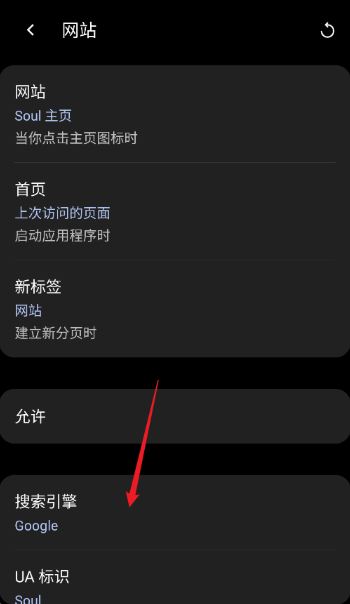 Soul浏览器中文版截图1
