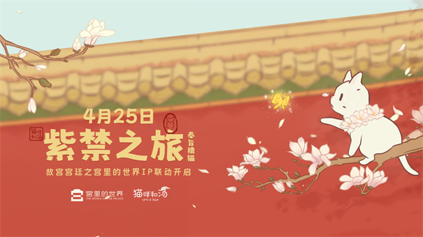 猫咪和汤国际版截图0