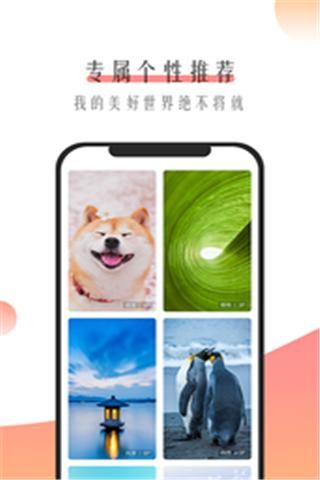 米柚壁纸最新版截图0