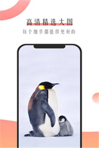 米柚壁纸最新版截图1