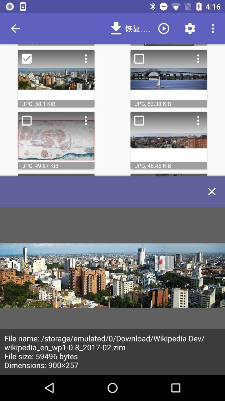 diskdigger pro汉化版截图1