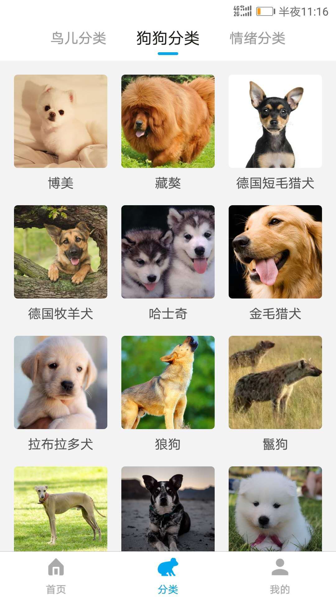 动物翻译器2026截图2