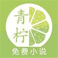 青柠小说软件