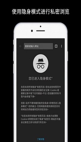 谷歌浏览器正版截图2