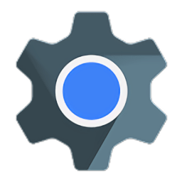 google WebView