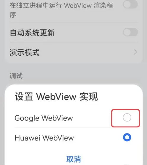 google WebView截图4