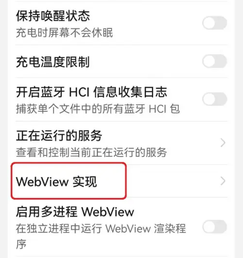 google WebView截图3