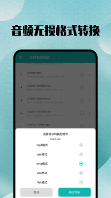 格式转换专家截图0