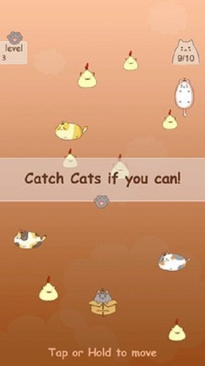 抓住流浪猫截图0