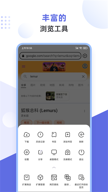 狐猴浏览器旧版截图0