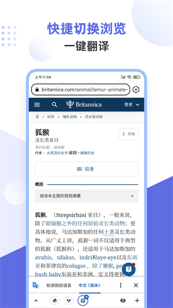 狐猴浏览器旧版截图2