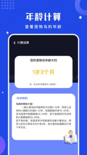 鸟语语言翻译器截图3