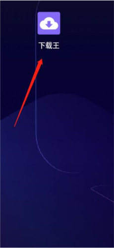 王