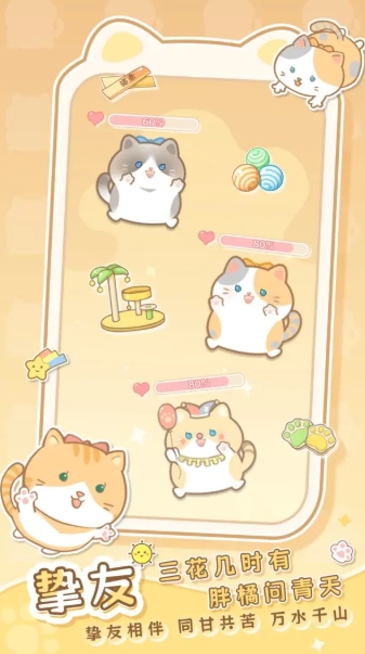 是猫就活100岁截图2