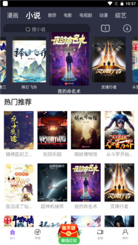 黑猪视频2026最新版