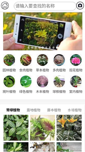 拍照识花截图0