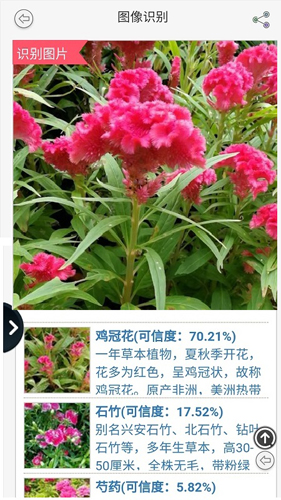 拍照识花截图2