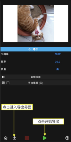 vn剪辑软件正版