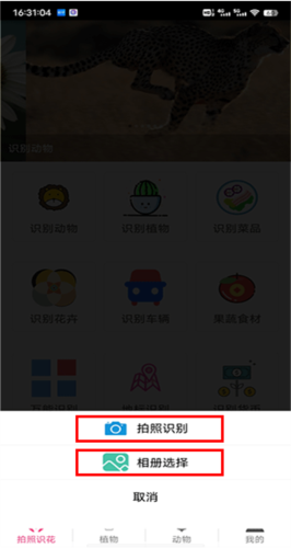 拍照识花