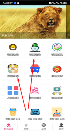 拍照识花