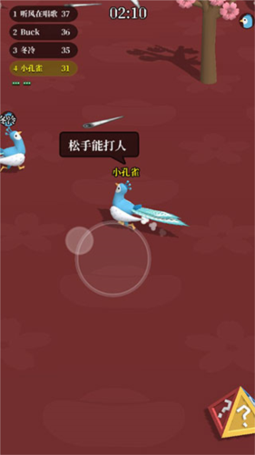 孔雀拔毛大赛