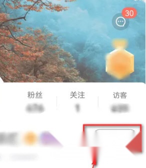 音画