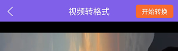 视频去水印擦除大师