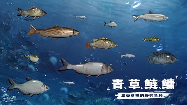 天天钓鱼安装截图3