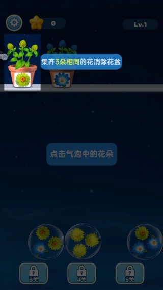 这花太棒了