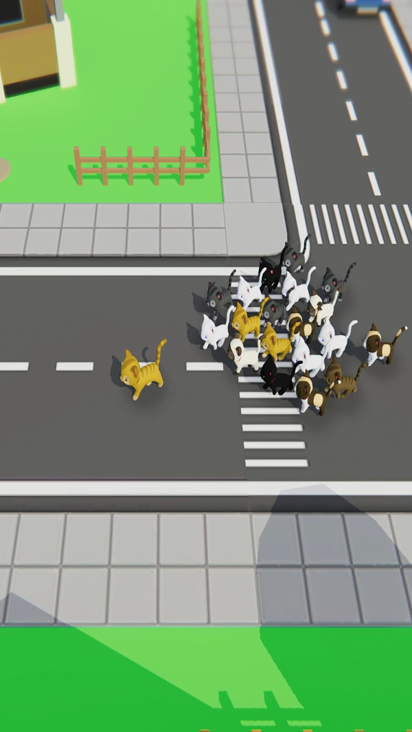 寻找猫咪截图4