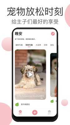 宠物音乐免费版截图2
