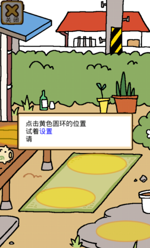 猫咪后院2国际服