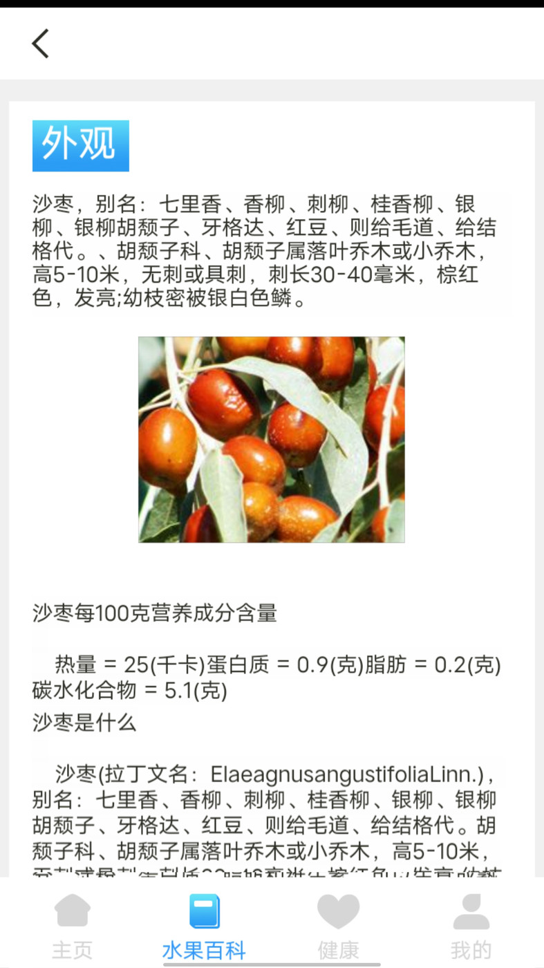 口袋水果截图0