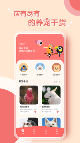 鹦鹉翻译器中文版截图1