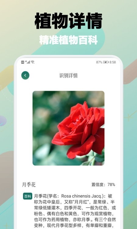树林记忆截图1