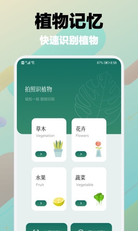 树林记忆截图2
