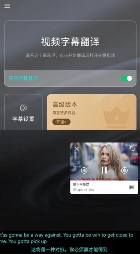 实时字幕翻译截图1