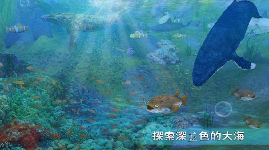 全民养鲸鱼截图4