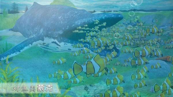 全民养鲸鱼