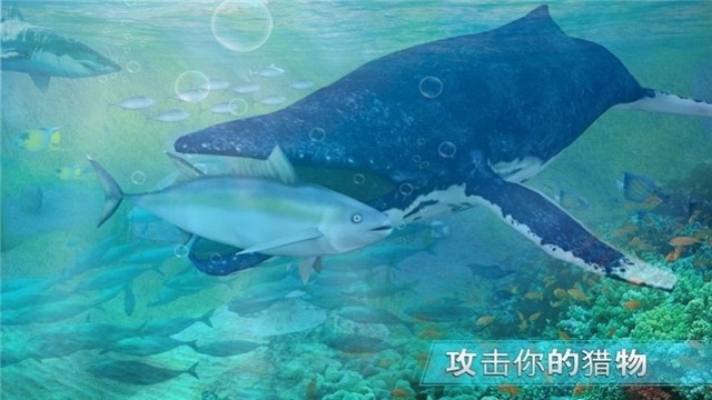 全民养鲨鱼截图1