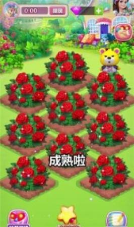 浪漫花园截图0