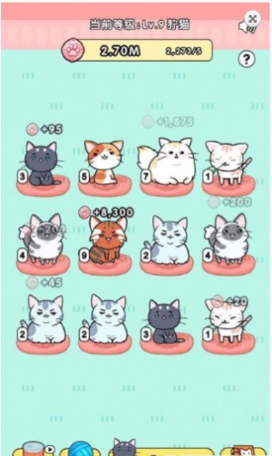 猫咪世界截图0