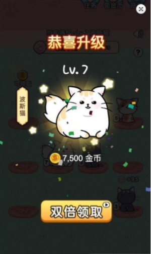 猫咪世界