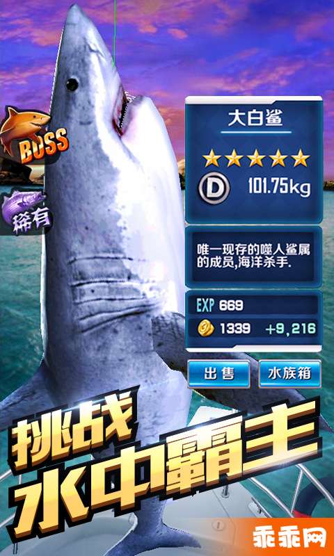 全民钓鱼截图0