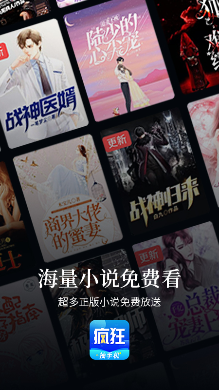 疯狂小说截图0